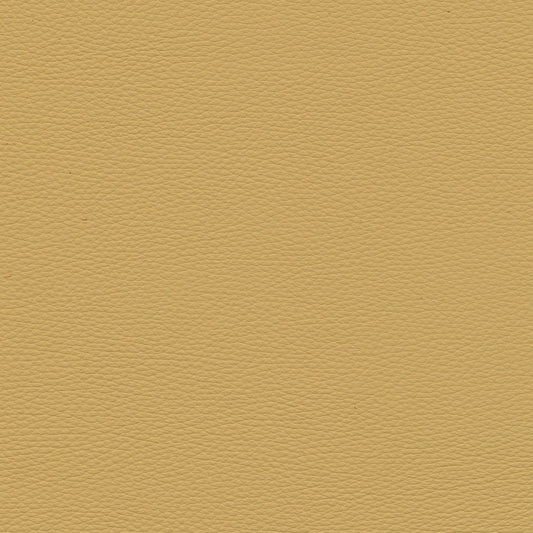 Toledo Desert