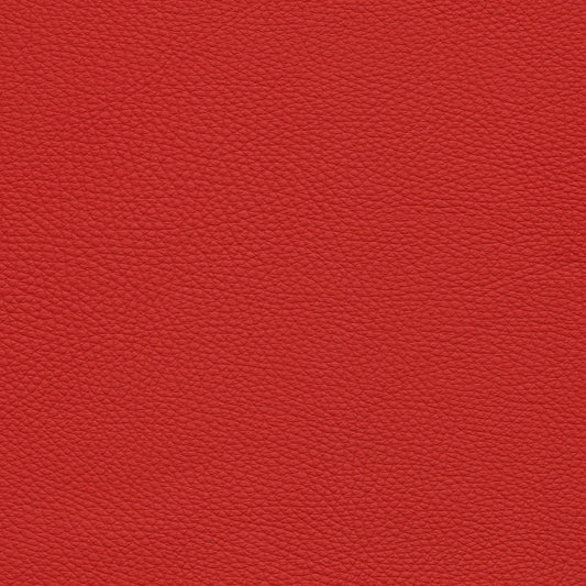 Toledo Ferrari
