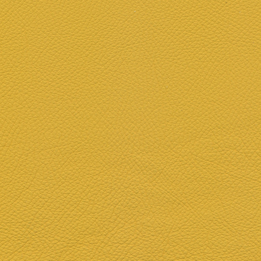 Toledo Giallo