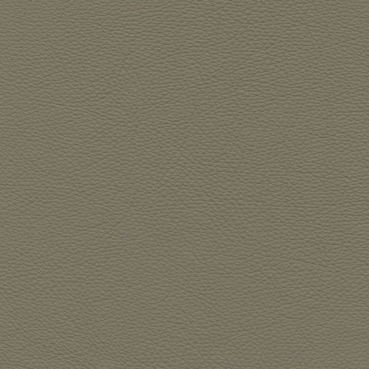 Toledo Khaki