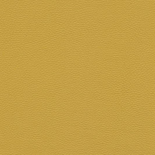 Toledo Lemon