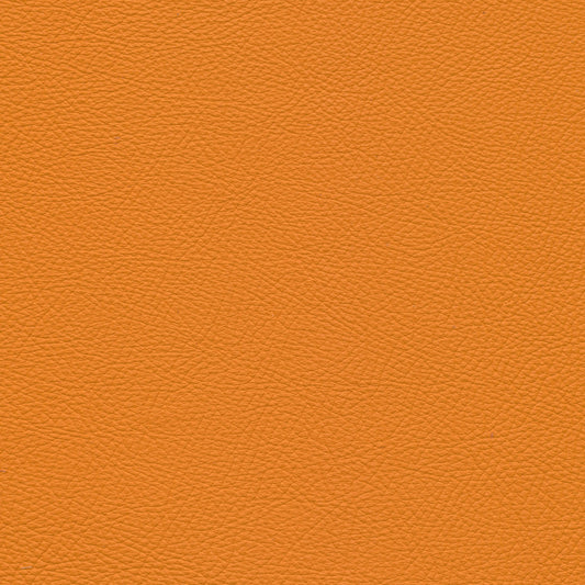 Toledo Mandarin