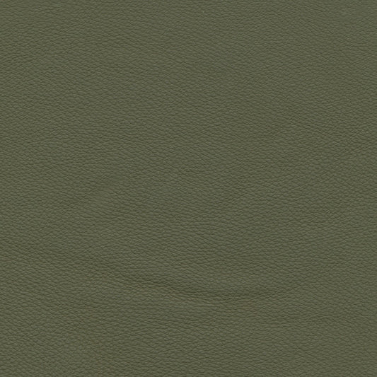 Toledo Olive
